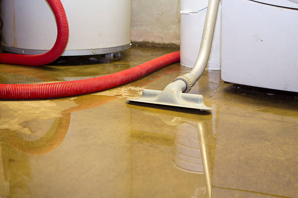 Best Water damage contractors near me  in Dimmitt, TX